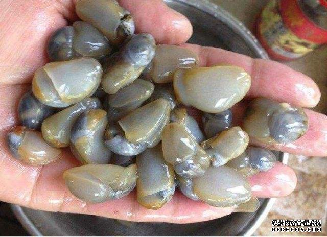 它比“小龍蝦”還受寵，味道鮮美，曾賣5元一斤，現(xiàn)想吃都買不起