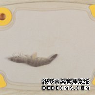 步驟圖:鮮蝦去頭去尾、去殼、去蝦線(xiàn)。蝦的背部和腹部各有一條