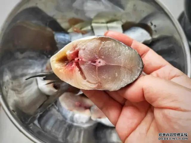 遇上這魚從不手軟，一買就是10斤，肉嫩刺少營養(yǎng)高，每次都吃不夠