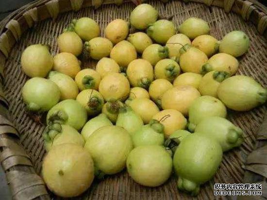 它被稱為“維C之王”，果肉甜而多汁，30元一斤，只有少數(shù)人吃過