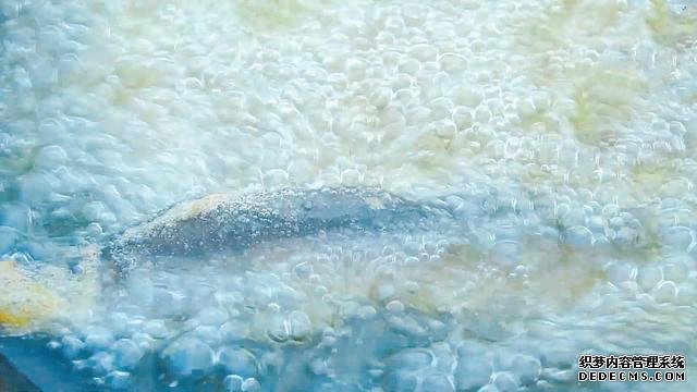 春節(jié)宅家中，捉了盆“水中人參”，寬油大火炸到焦香，很下飯