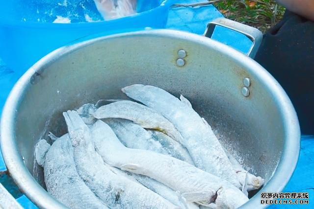 春節(jié)宅家中，捉了盆“水中人參”，寬油大火炸到焦香，很下飯