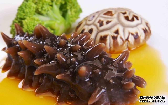 海參還能這樣吃：詳細(xì)泡發(fā)方法和做法步驟，滋補(bǔ)養(yǎng)顏，強(qiáng)身抗衰老