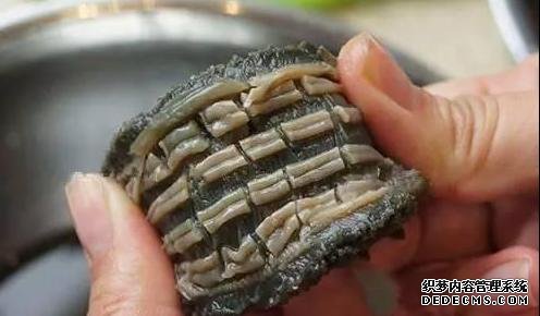 海參還能這樣吃：詳細(xì)泡發(fā)方法和做法步驟，滋補(bǔ)養(yǎng)顏，強(qiáng)身抗衰老