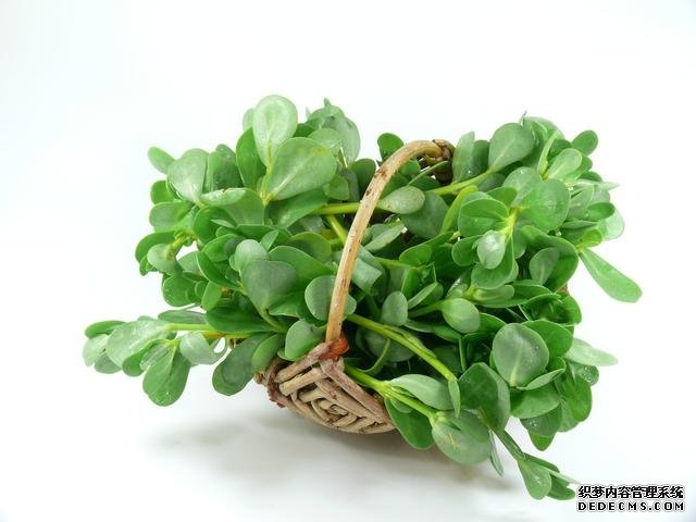 春分時(shí)節(jié)這菜要抓緊吃，再晚又得等1年，路邊隨處可見，營養(yǎng)豐富
