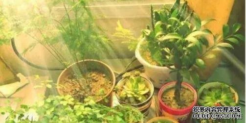 十種健康的養(yǎng)生方式！（建議永久堅(jiān)持）