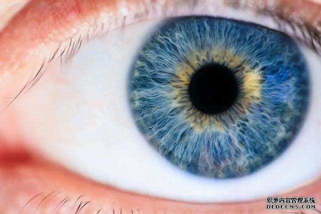 眼睛疲勞竟然會(huì)降低免疫力？是的