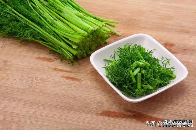 在夏天吃茴香菜，有這幾大作用，夏季養(yǎng)生不妨來點(diǎn)茴香菜