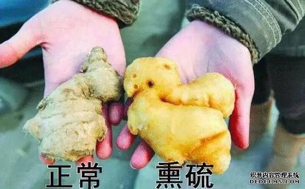 遇到這種生姜千萬(wàn)不要買(mǎi)，外表看似光滑無(wú)泥土，實(shí)則有毒無(wú)姜味