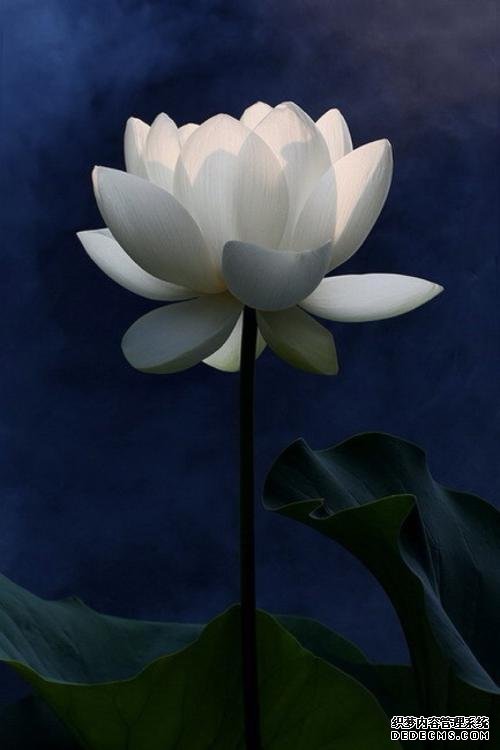 徐文兵：對于養(yǎng)生來說，方向比方法更重要