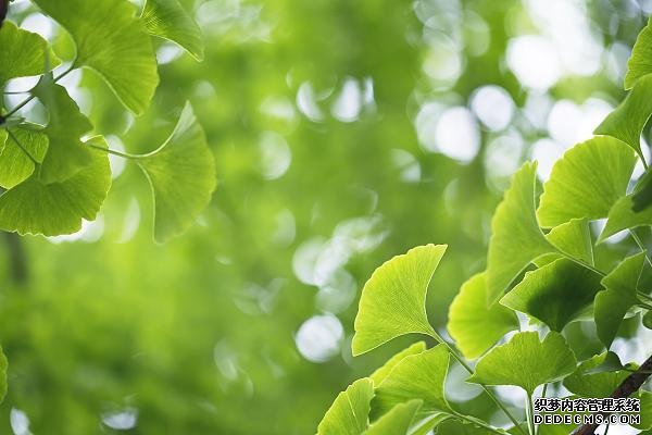 久坐、活動量小的職場人速查！這些指標不合格，很“傷心”