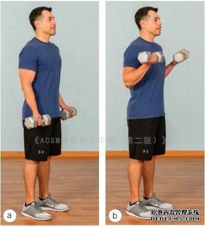 健身房10個(gè)力量訓(xùn)練動(dòng)作教程，詳細(xì)講解，很適合初學(xué)者學(xué)習(xí)