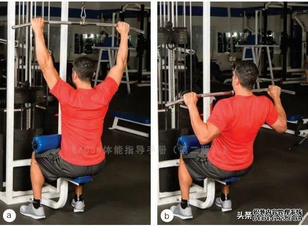 健身房10個(gè)力量訓(xùn)練動(dòng)作教程，詳細(xì)講解，很適合初學(xué)者學(xué)習(xí)
