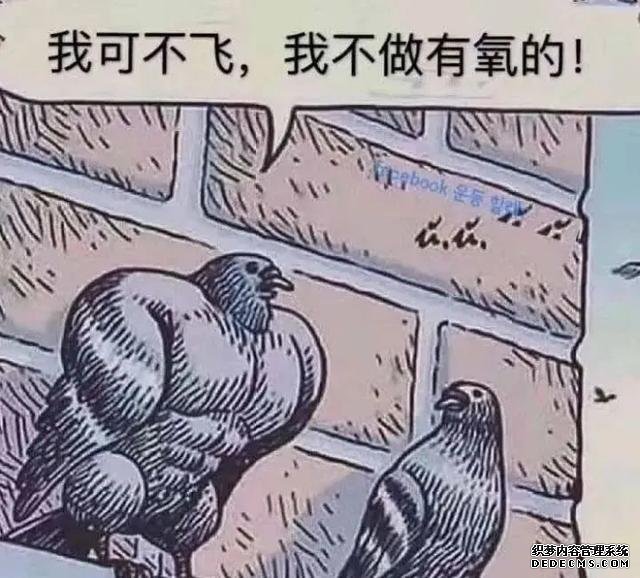 51條健身知識(shí)，看完再?zèng)Q定怎樣健身