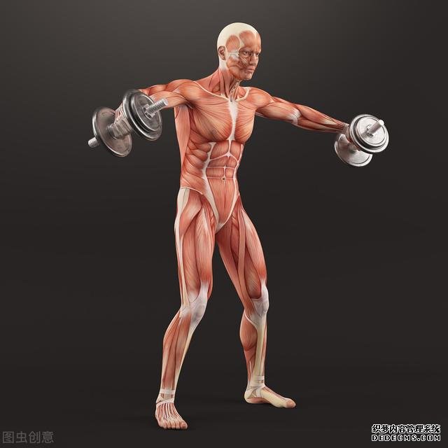新手健身，應(yīng)該怎么安排訓(xùn)練，如何開啟健身計(jì)劃呢？