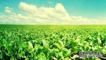 做人，心態(tài)要健康！