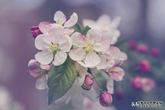 7種心理暗示，讓你保持健康心態(tài)