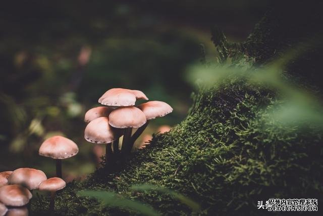 7種心理暗示，讓你保持健康心態(tài)