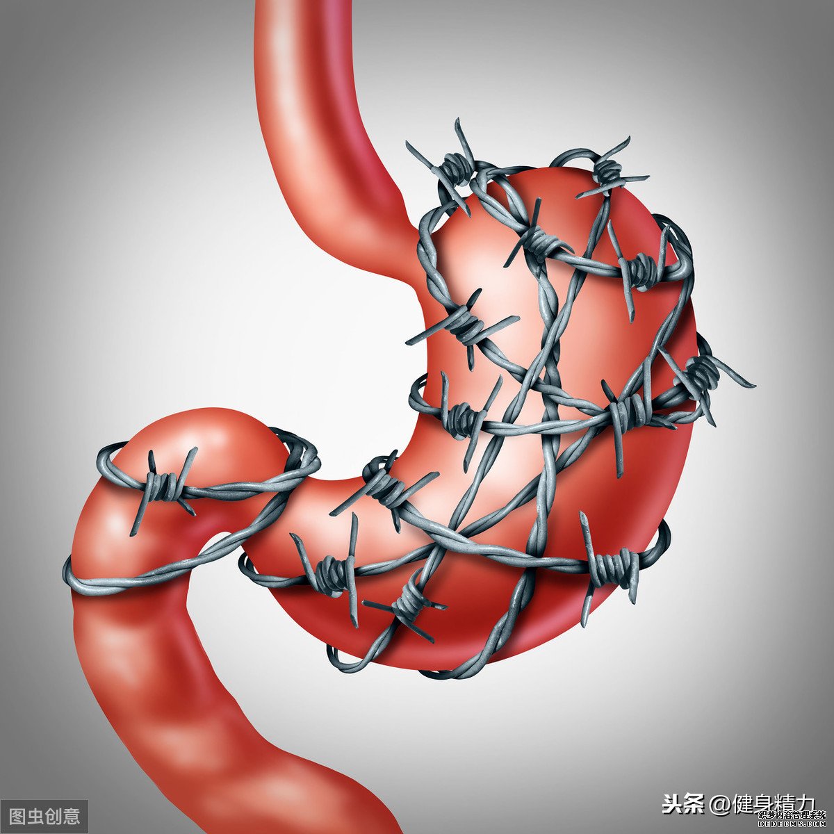 怎么做好健身飲食管理？把握好這幾點就可以