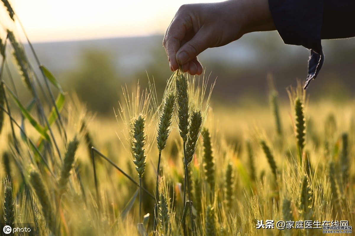 小滿節(jié)氣：養(yǎng)生牢記這幾個要點，健康一整個夏天