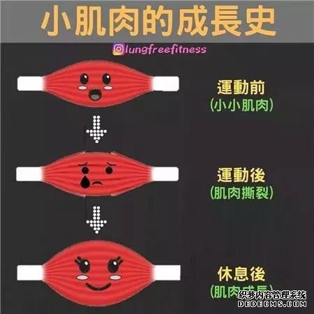 22條健身知識，認真看完相當于上了一節(jié)私教課