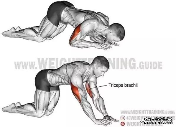 全身各部位健身動作圖解及注意事項(xiàng)，通俗易懂，讓你健身不求人
