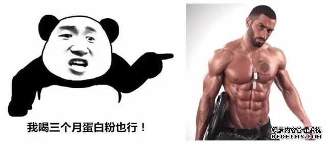 一萬次的想法，比不上你一次全身心的投入到健身當(dāng)中去