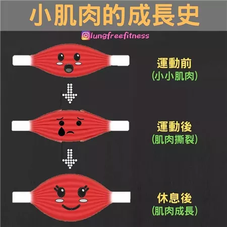 圖文并茂的健身小貼士（建議收藏?。? img_height=