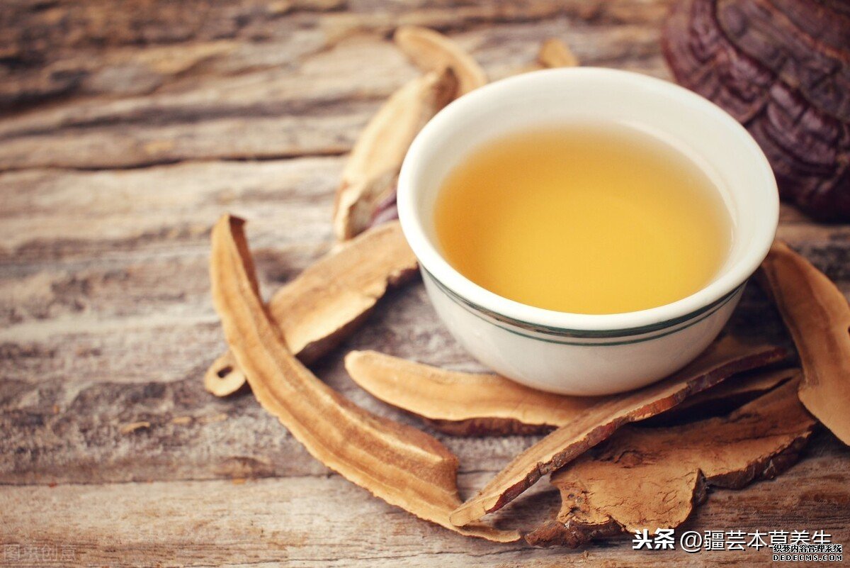 身體虛弱能長期和鹿角靈芝草泡水嗎？鹿角靈芝有啥禁忌？