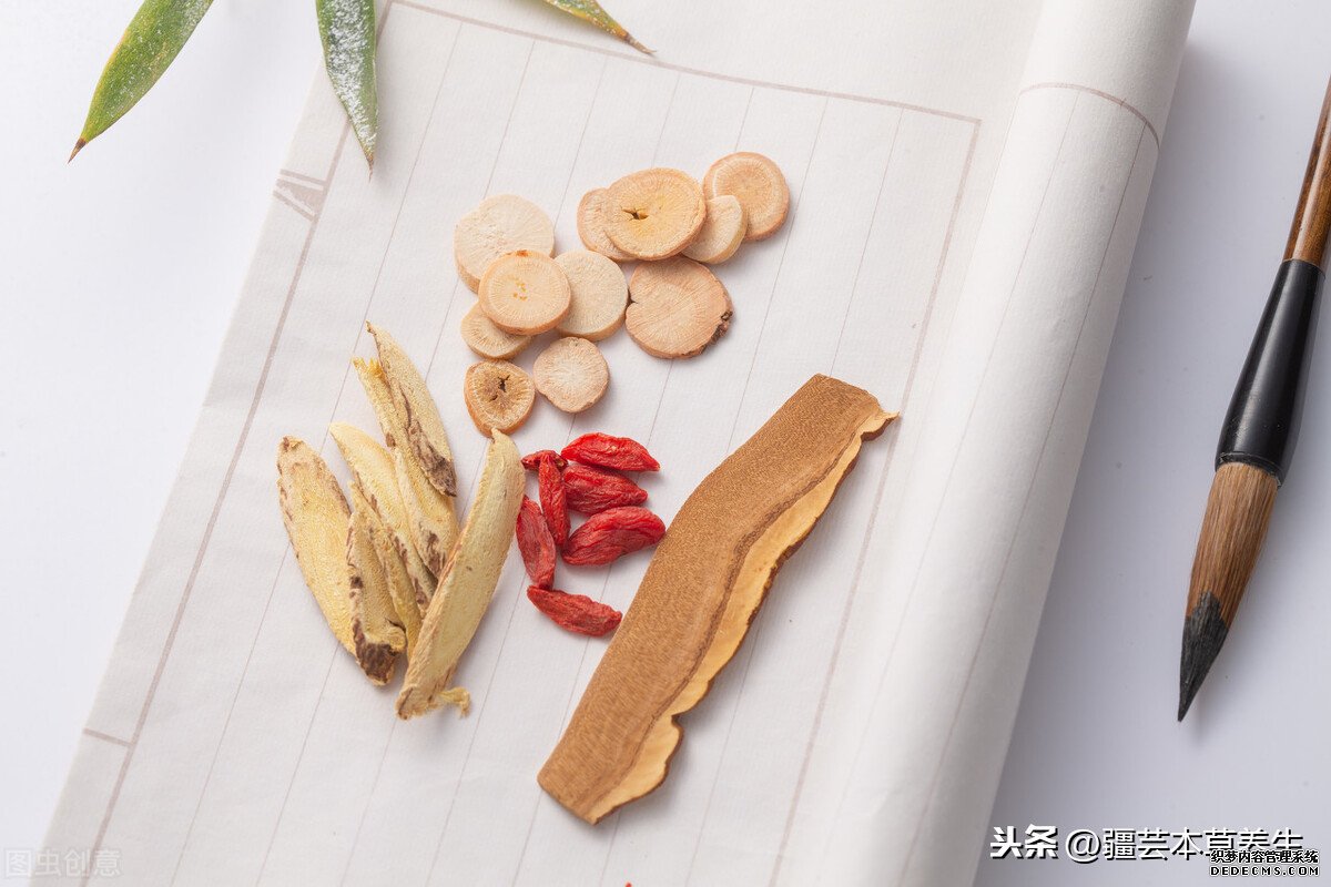 身體虛弱能長期和鹿角靈芝草泡水嗎？鹿角靈芝有啥禁忌？