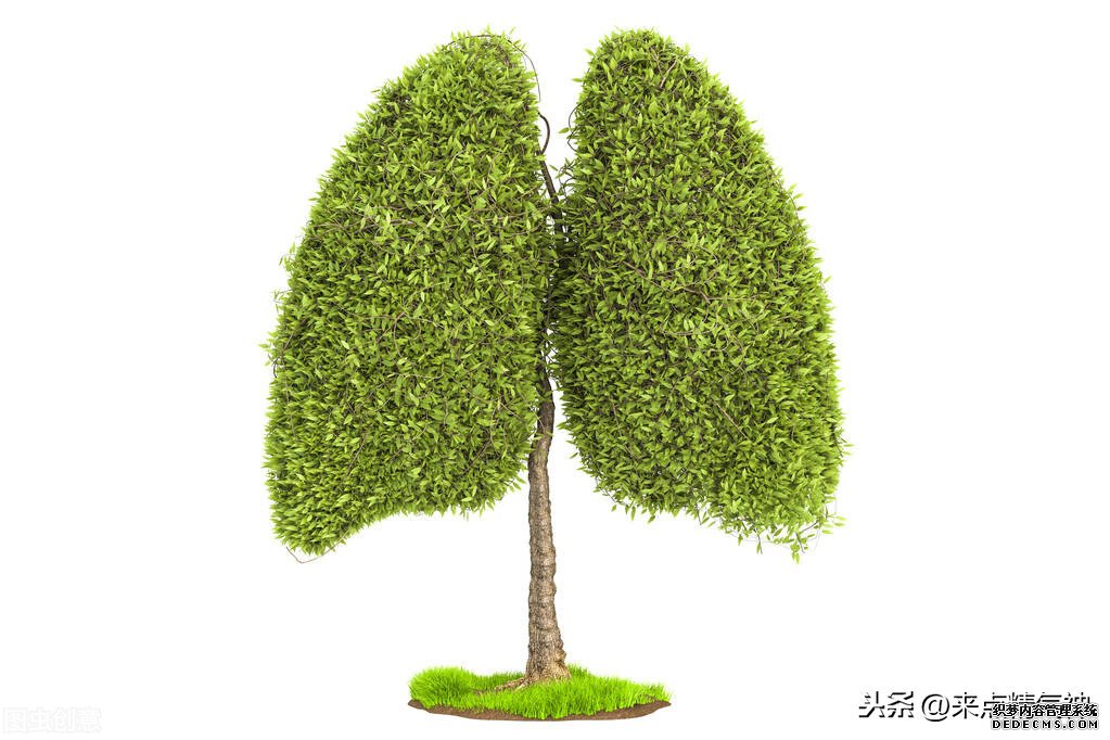 每天3次！幫助鼻子防止寒氣侵犯體內(nèi)。鼻炎或鼻子不靈敏的注意