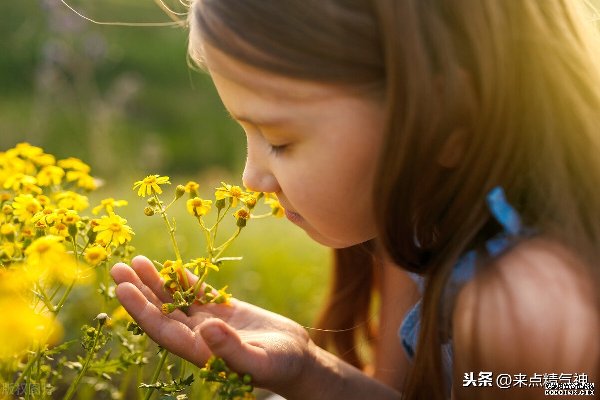 每天3次！幫助鼻子防止寒氣侵犯體內(nèi)。鼻炎或鼻子不靈敏的注意