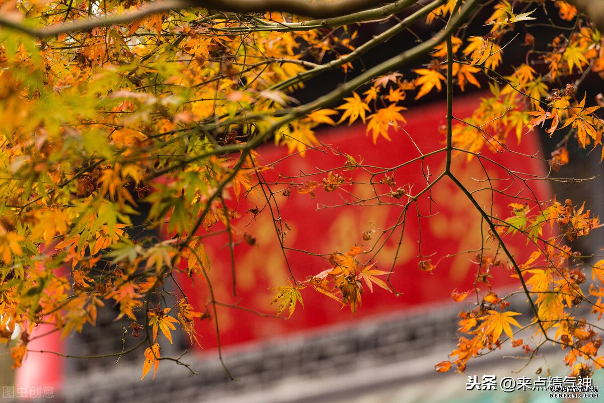 每天3次！幫助鼻子防止寒氣侵犯體內(nèi)。鼻炎或鼻子不靈敏的注意