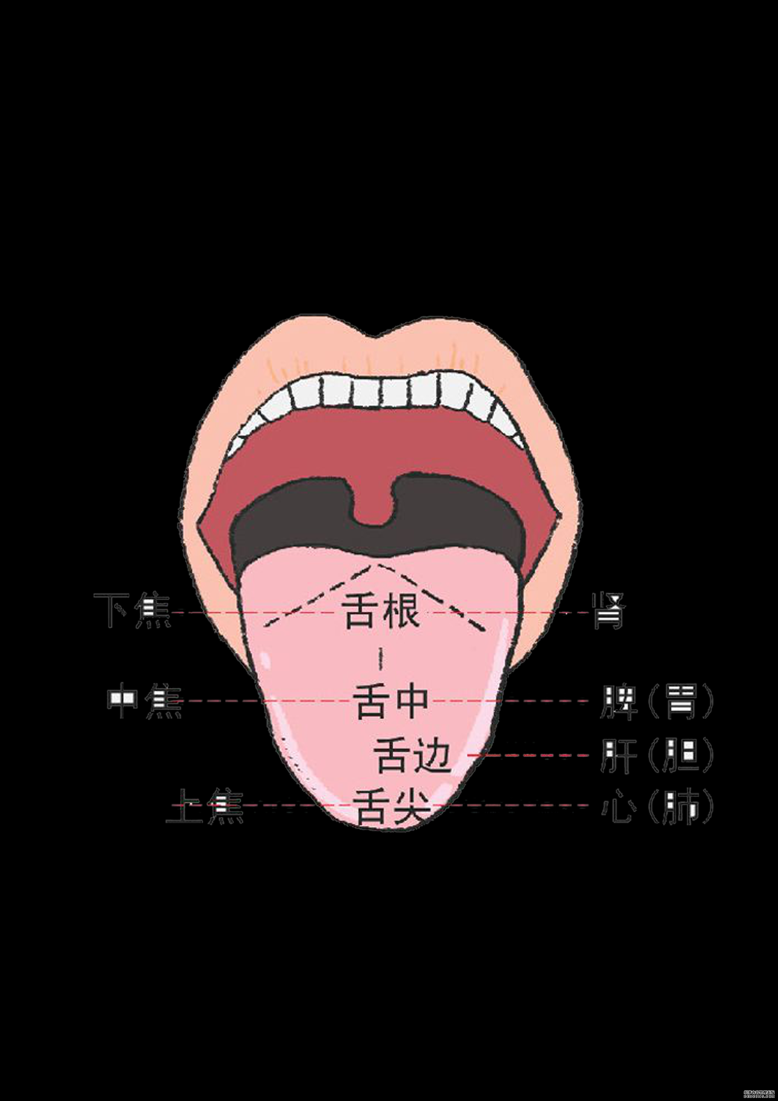 通過(guò)舌診，窺探身體的秘密