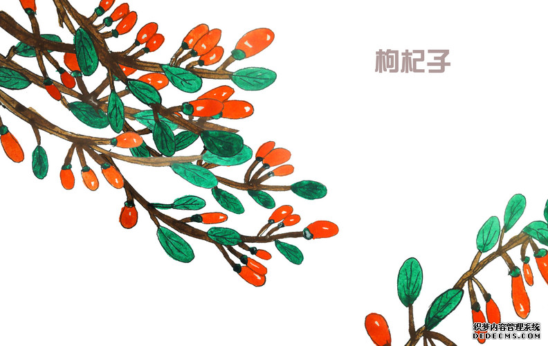 吃枸杞可以長(zhǎng)壽，但是您吃對(duì)了嗎？