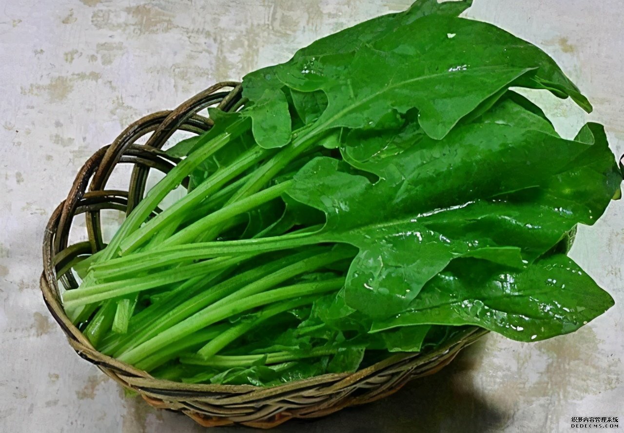 眼睛常常出現(xiàn)“酸痛”？多吃這些“食物”，遠(yuǎn)離疲勞與干澀