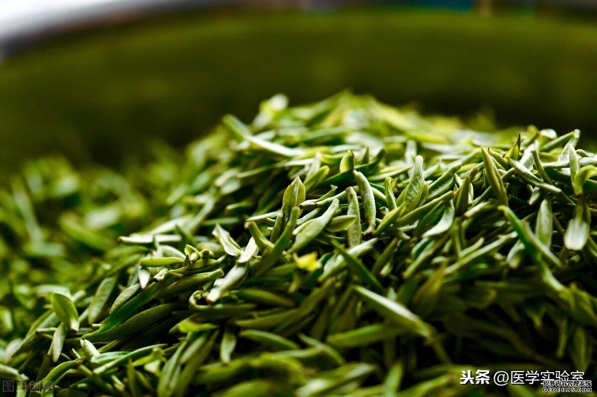 喝茶的“六大禁忌”，會(huì)喝茶也要懂茶，不讓茶傷害到自己