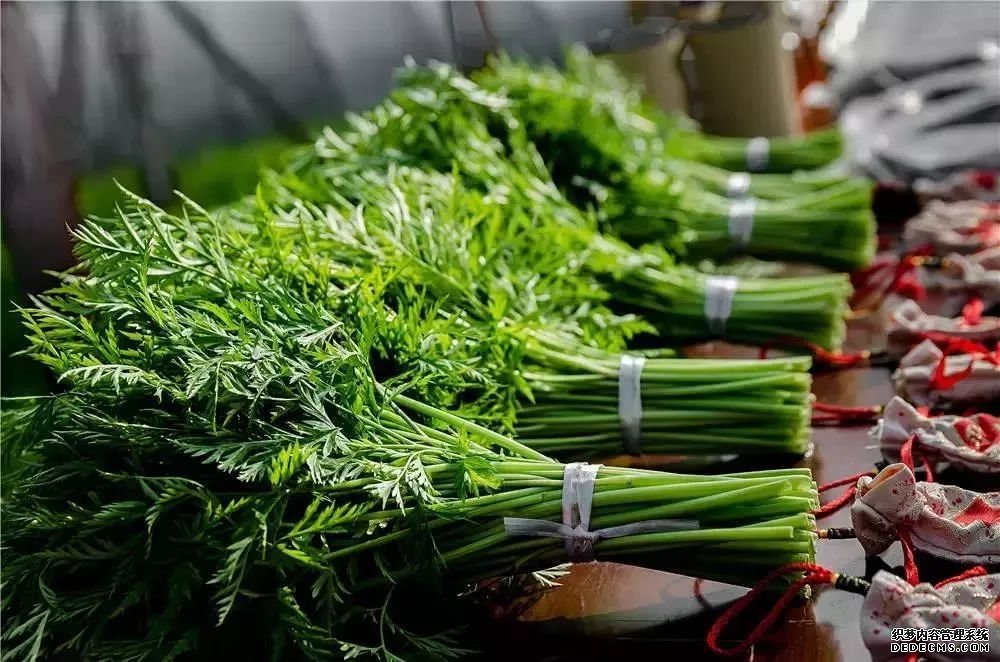 血管斑塊可以消除嗎？做到這四點，血管會被洗干凈