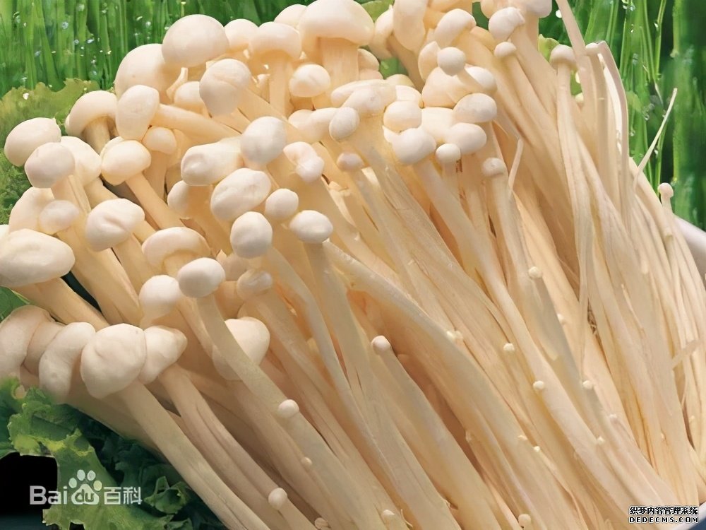 這些食物吃起來有風險，一定要當心。